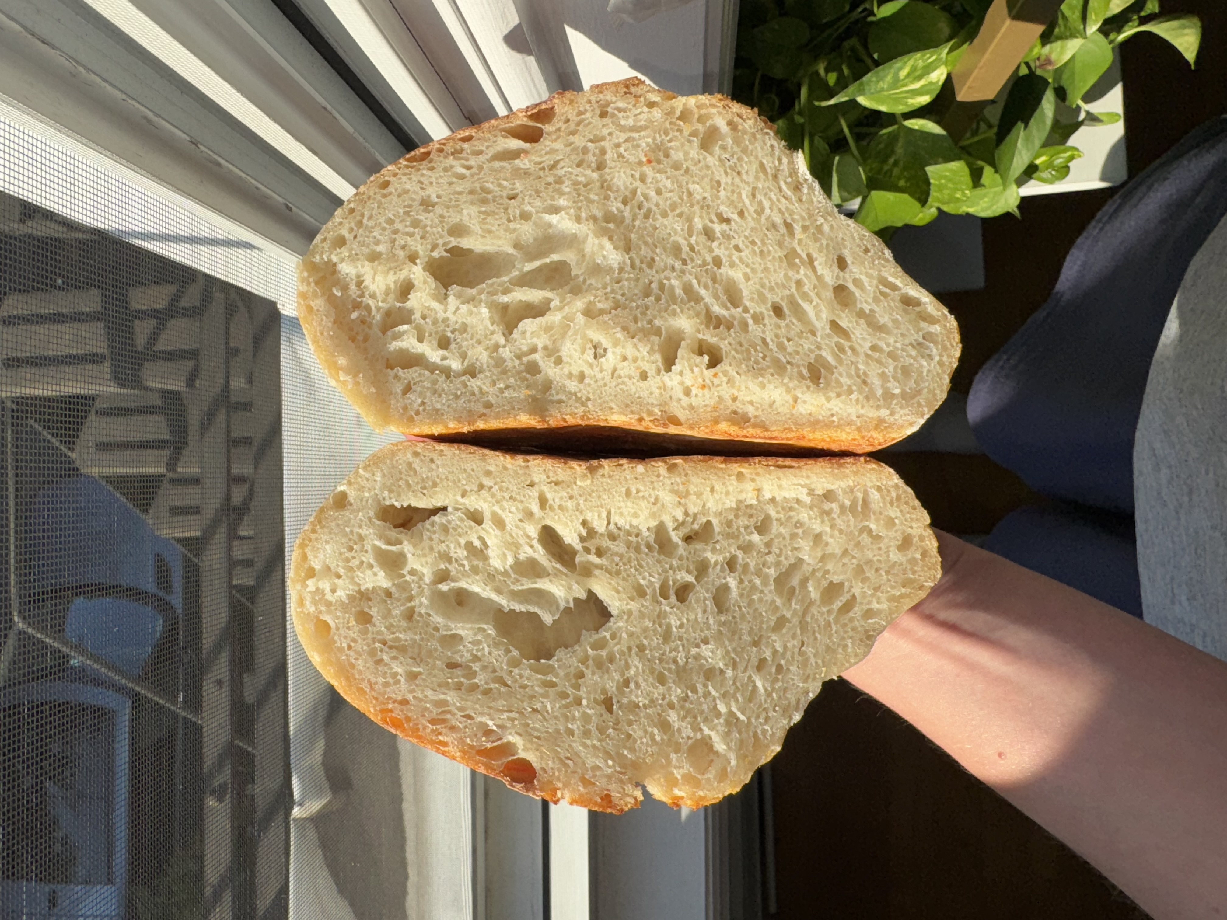 Beginner Sourdough